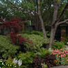Jennifer Browning > Exotic Expectations Creative Landscape Design >  eecl_0609_5